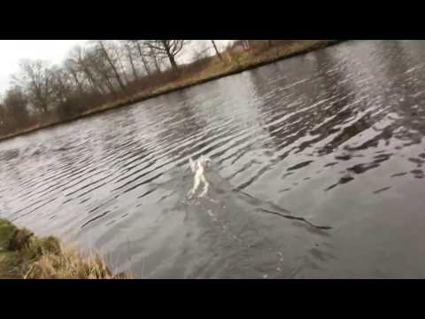 Rc Team Lindenau Executive (Outrigger)