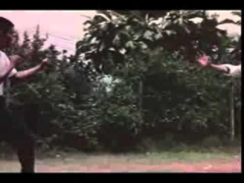 BRUTAL BOXER..........................PARTE 3