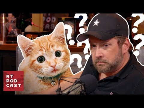 How do you teach a Cat to Jump? - #542 | RT Podcast