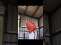 bro talking too fast #dinosaur #meme #shorts #meme