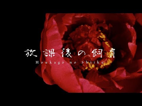 アクメ (ACME)/ 放課後の飼育 (Houkago no Shiiku)【MV】 | 激ロック ミュージック・ビデオ