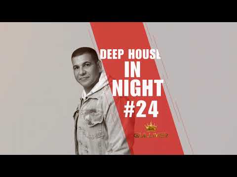 Deep House in Night #24