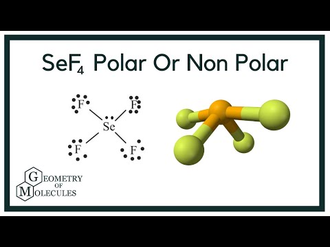 Is Sef4 Polar