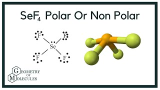 Is SeF4 Polar or Non-Polar (Selenium Tetrafluoride)