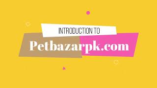 How to Buy/Sell Your Pets Online in Pakistan | Introduction to petbazarpk.com