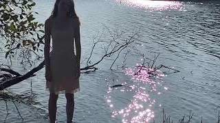 Shimmer Music Video
