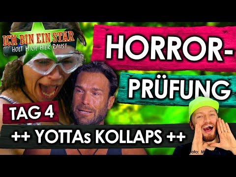 Jungle Camp 2019 - Day 4: Gisele's HORROR challenge! Yotta's TEARS!
