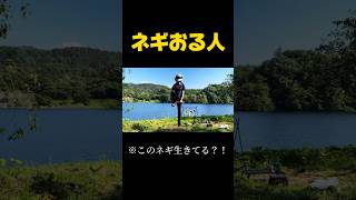 おりゃゃぁああああ！！！ #youtubeshorts #キャンプ #切り抜き