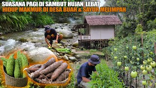 Download lagu HIDUP MAKMUR DI PEDESAAN TENGAH KEBUN, BANGUN PAGI DI SAMBUT HUJAN LEBAT MENIKMATI SINGKONG & PARE mp3