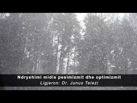 Ndryshimi midis pesimizmit dhe optimizmit