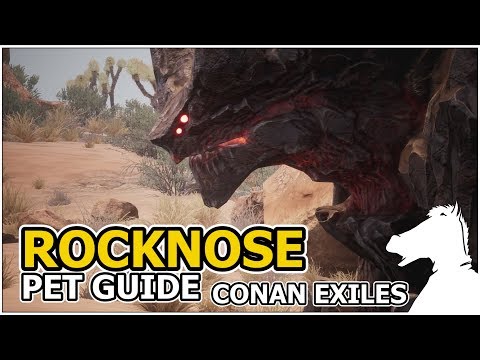 ROCKNOSE | Pets Guide | CONAN EXILES