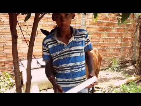 #Aplicando Pasta De Vermes No Meu Cavalo 🐴