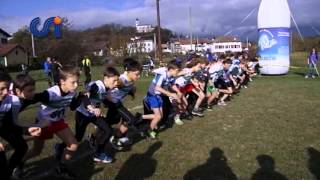 Campionato Provinciale Corsa Campestre Csi Belluno