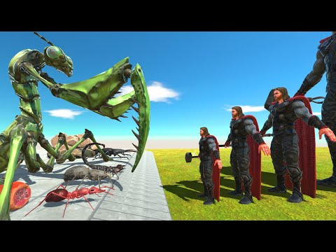 Different Size Thor VS Giant Invertebrates - Animal Revolt Battle Simulator