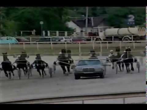 TRIESTINA 1:20,8 "Probni Derby"2200m-Beograd 2003