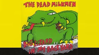 Dead Milkmen&#39;s &quot;Right Wing Pigeons&quot; Rocksmith Bass Cover