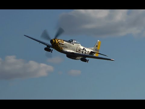 Tri-State Warbird Museum 2025 Warbird Flying Showcase Part 2:  P-51D, P-40M, B-25J