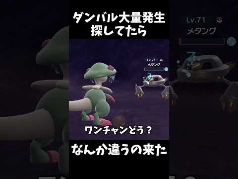 園芸 ツノバイオレット、ツノパンジー、ツノパンジー