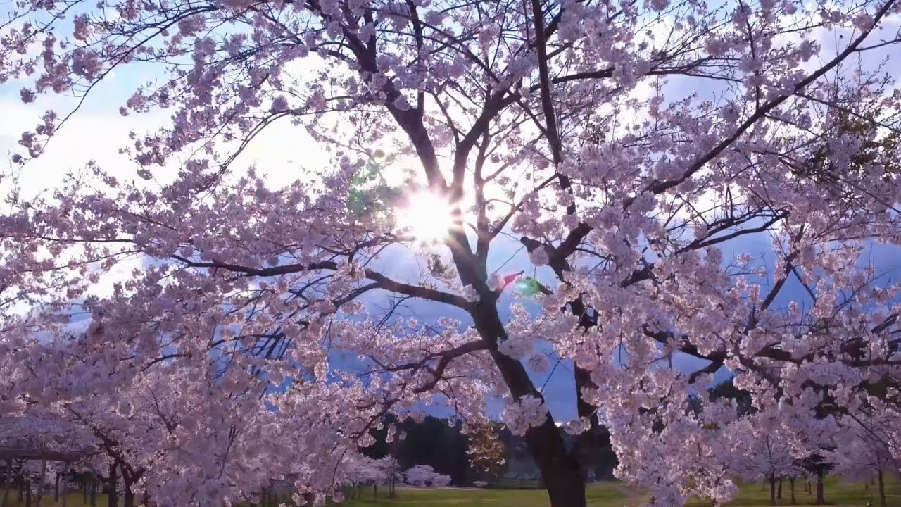クラスハウス看板