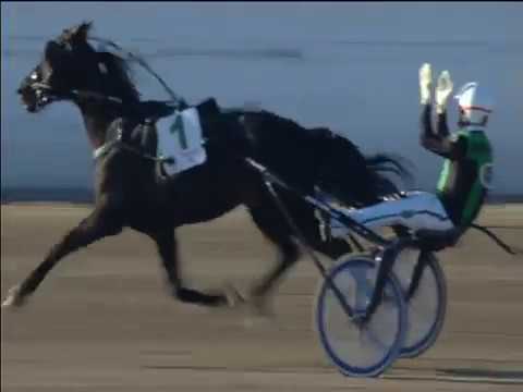 Trotting 01/05/2017 - 9th race - Grand Prix Lottery Final