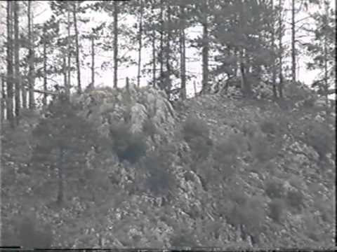 Akcija Spicasta stijena prvi dioCrni Labudovi Armija BiH