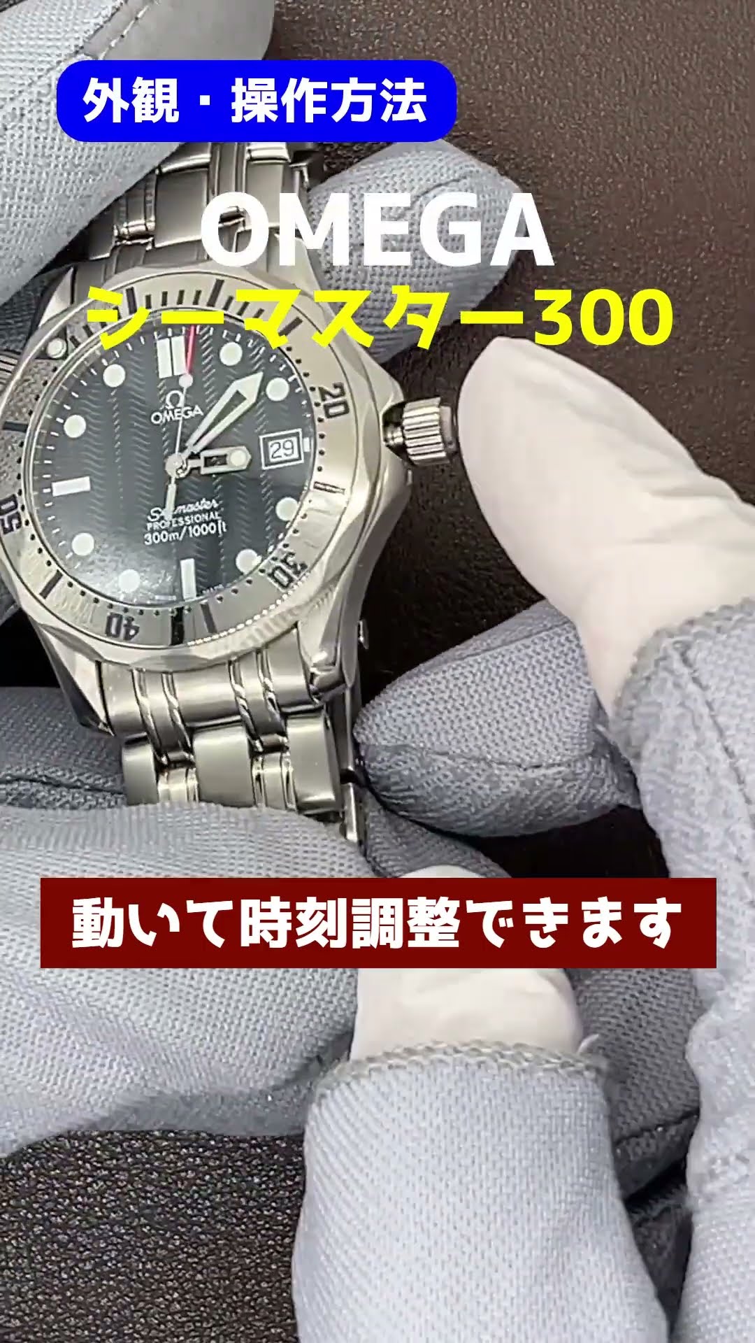 O-8160| オメガ シーマスター300 プロフェッショナル Ref