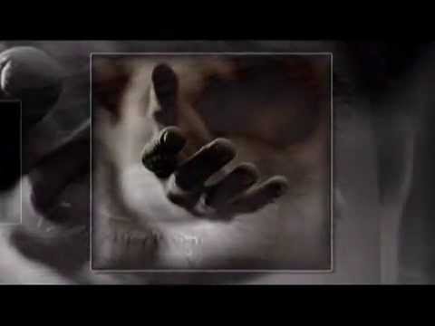 Giorgos Giannias - Aparaititi mou eisai ( Bulgarian translation )