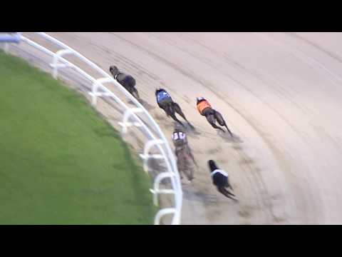 2017 STAR SPORTS DERBY - ROUND 1 HEAT 16 - T4 BUBBLY BLUEBIRD