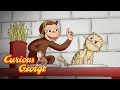 George The Chef Curious George Kids Cartoon Kids Movies Videos For Kids