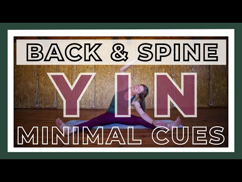1-Hour Yin Yoga Class - Minimal Cues Yin Yoga Back & Spine | Deep Back Stretch Yoga (Silent Yin)