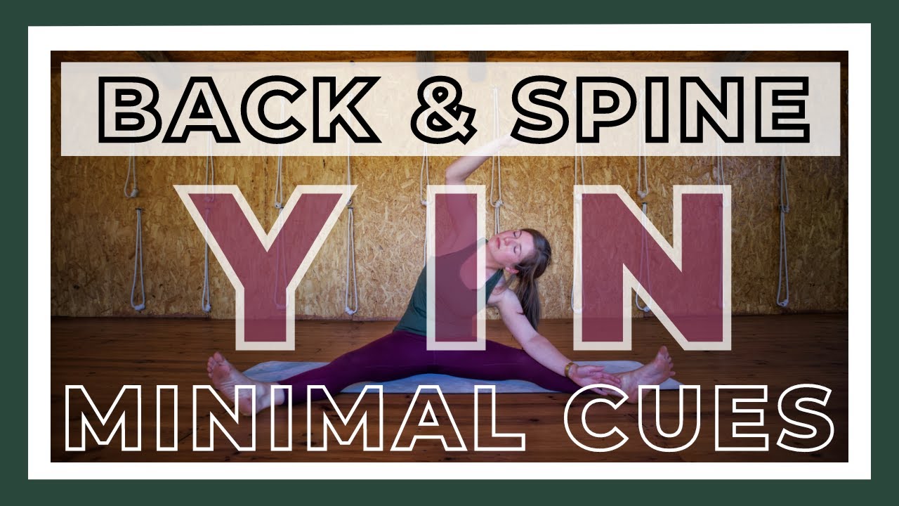 1-Hour Yin Yoga Class - Minimal Cues Yin Yoga Back & Spine — Yin Yoga class, 60 minutes