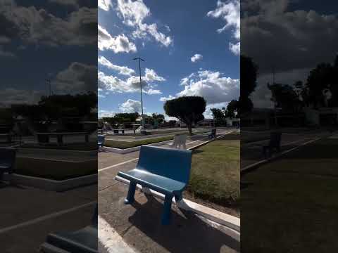 Jacundá 🎶  #cidade #para #brasil