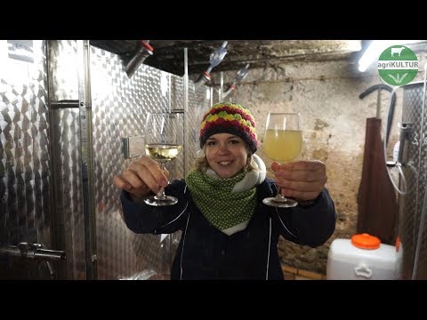 agriKULTUR: Stephanie - Crossflow: eine Art der Filtration