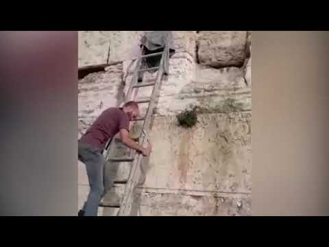 В Иерусалиме на Стене Плача - змея - знамение конца света