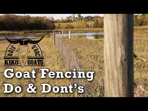 , title : 'Goat Fencing Do & Don’t | Goat Fencing Tips | I share some fencing Tips | Raising Goats | Goat Farm'