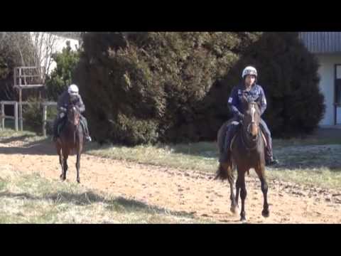 Galopp München TV - Honda Renntag am 14.April 2013