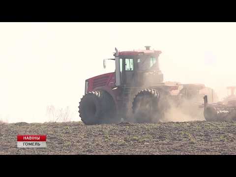 У рэгіёне завяршылася сяўба ранніх яравых видео