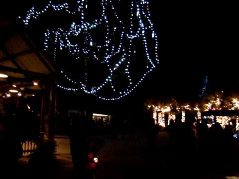 Lights at Riverbanks Zoo.MPG