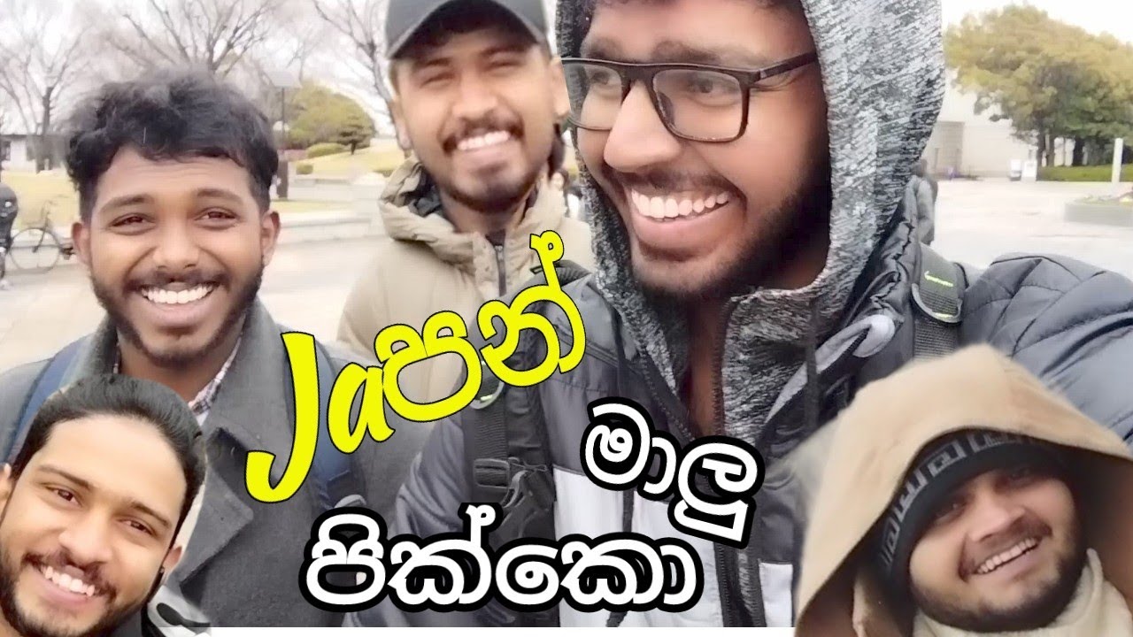 එන්න නංගි මාළු බලන්න😃😝Japan මාලු දැකල නෑනෙ ඔයාල😁🤭🇯🇵🇯🇵
