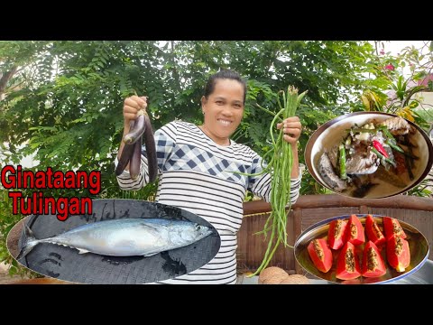 Ginataang tulingan may sitaw at talong