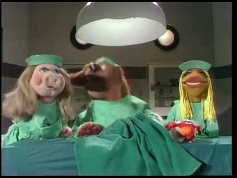 Muppet Show: Veterinarian Hospital Episode #9