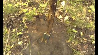 Kaz vs Wild Season 2, demonstrating a deadfall trap at survival camp