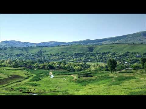 Achim Stoia (1910-1973): Moldavian rhapsody (1963)