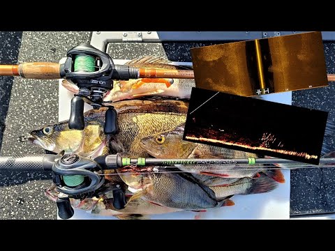 RAPUJIGI MAISTUU KUHALLE JA AHVENELLE! | KATELLAAN VIISTOA + LIVELUOTAINTA!