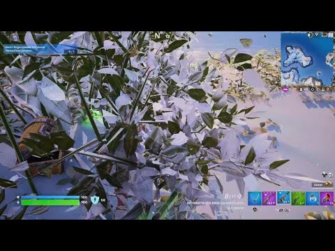 Fortnite_31.12.23