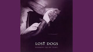 Music video thumbnail preview for There You Are by Lost Dogs