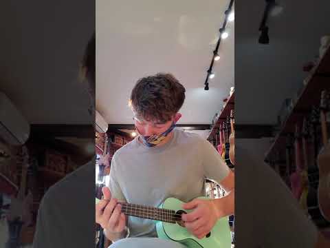 Ortega horizon series concert ukulele