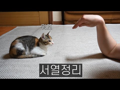 이대로는 안되겠다