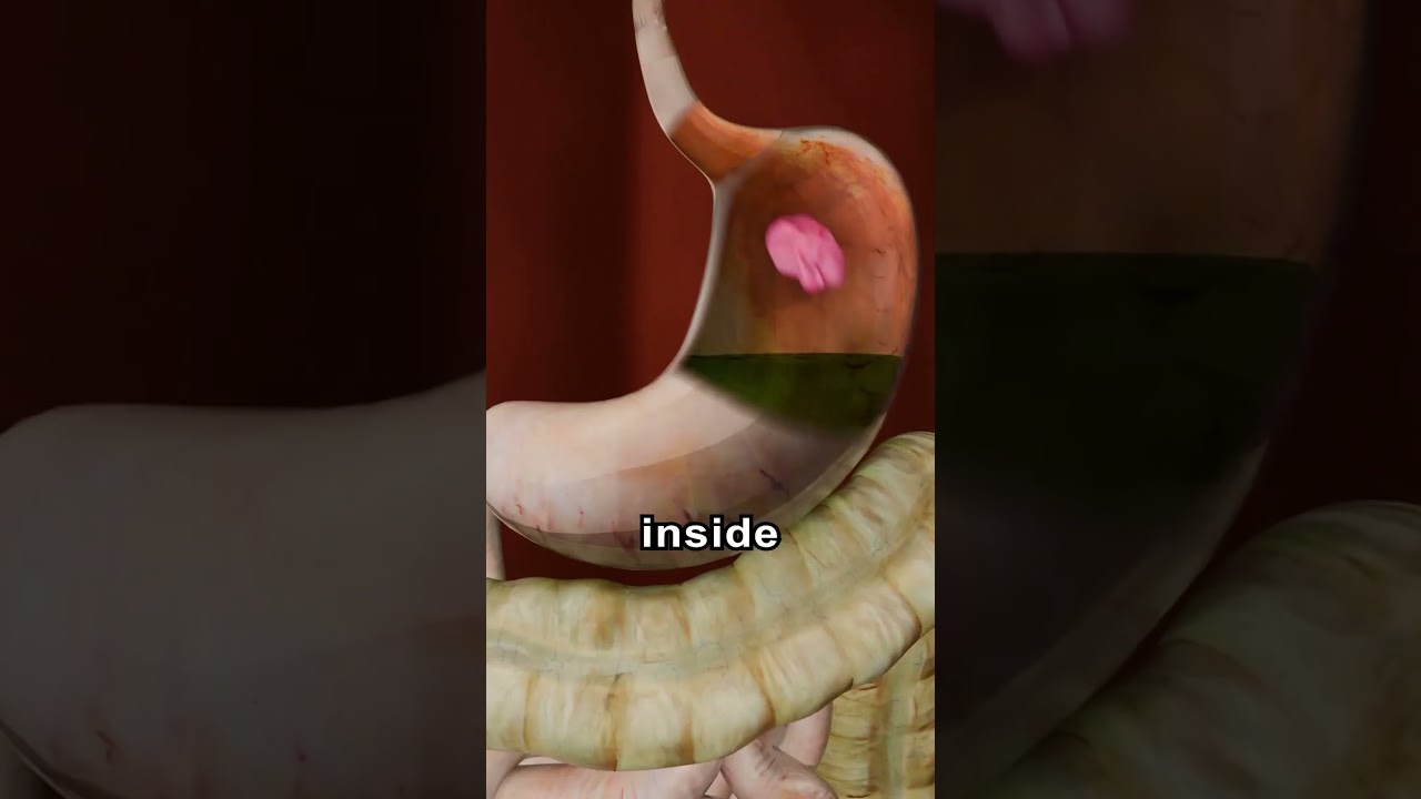 What Happens If You Swallow Gum 😱
