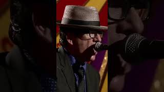 Elvis performing &quot;Stella Hurt&quot; live in 2011 off the album &#39;Momofuku&#39;.